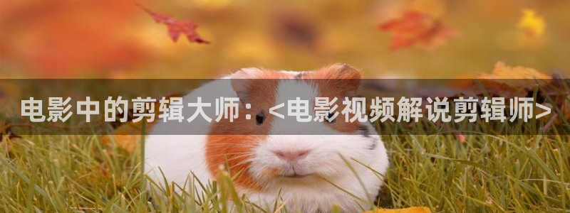 精品国产午夜肉伦伦影院：电影中的剪辑大师：<电影视频解说剪辑师>