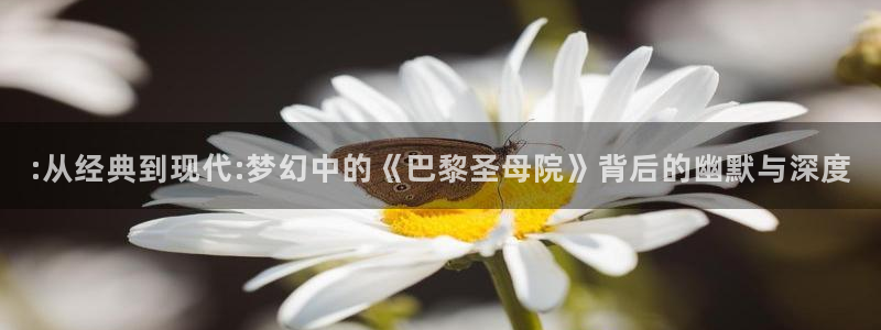 芬兰午夜电影播放：:从经典到现代:梦幻中的《巴黎圣母院》背后的幽默与深度