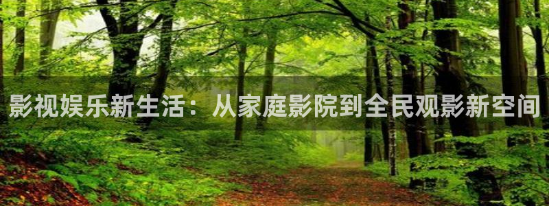 免费观看午夜影院：影视娱乐新生活：从家庭影院到全民观影新空间