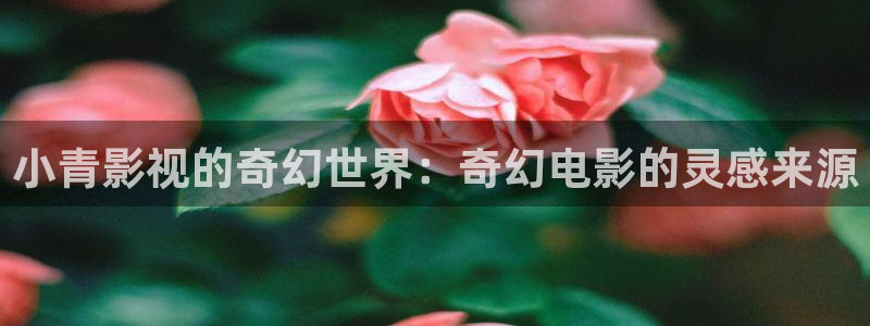 午夜电影日韩
