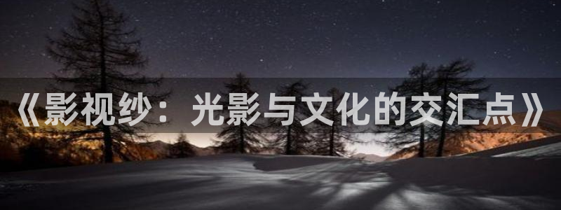 午夜神马理论电影：《影视纱：光影与文化的交汇点》