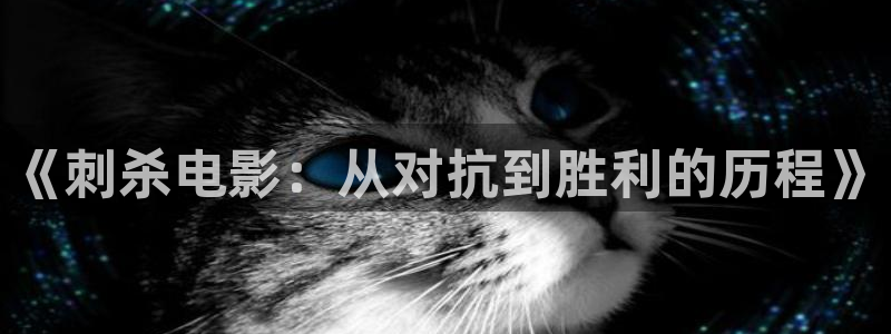 午夜影院观看网址：《刺杀电影：从对抗到胜利的历程》