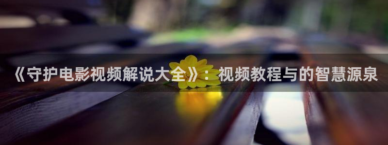 午夜精品福利av：《守护电影视频解说大全》：视频教程与的智慧源泉