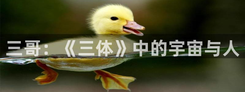 午夜伦电影在线观看