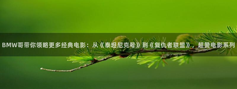 俄罗斯午夜电影：BMW哥带你领略更多经典电影：从《泰坦尼克号》到《复仇者联盟》，超赞电影系列