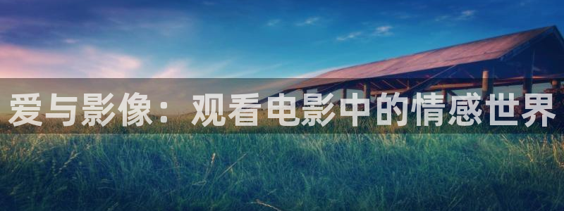 午夜场电影：爱与影像：观看电影中的情感世界
