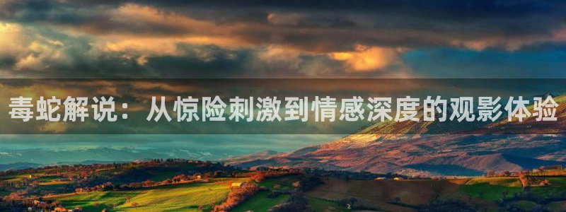 午夜电影网导航