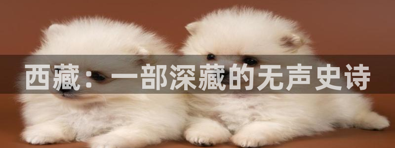 404午夜影院：西藏：一部深藏的无声史诗