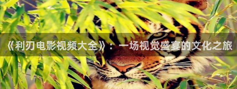 国产成人啪精品午夜在线播放：《利刃电影视频大全》：一场视觉盛宴的文化之旅