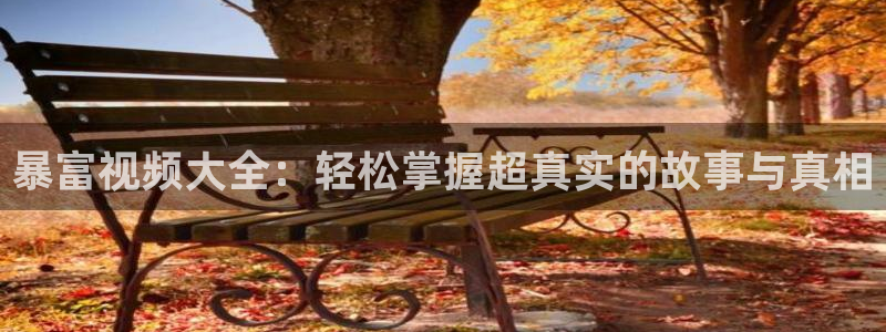国产午夜伦理网站：暴富视频大全：轻松掌握超真实的故事与真相