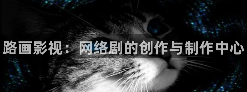飘花电影网午夜在线观看：路画影视：网络剧的创作与制作中心