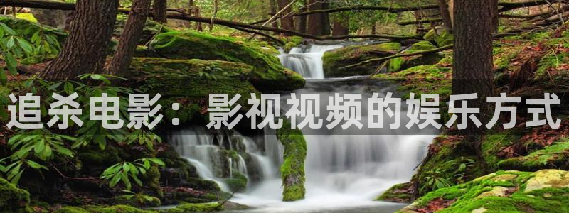 神马电影午夜91：追杀电影：影视视频的娱乐方式