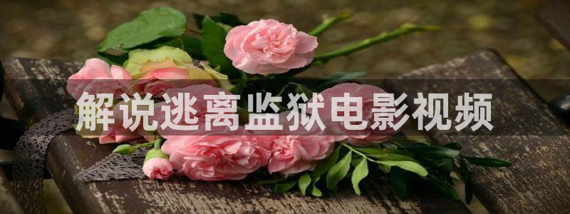 午夜电影成人：解说逃离监狱电影视频