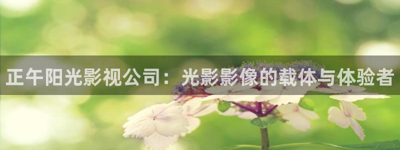 午夜飘花影院：正午阳光影视公司：光影影像的载体与体验者