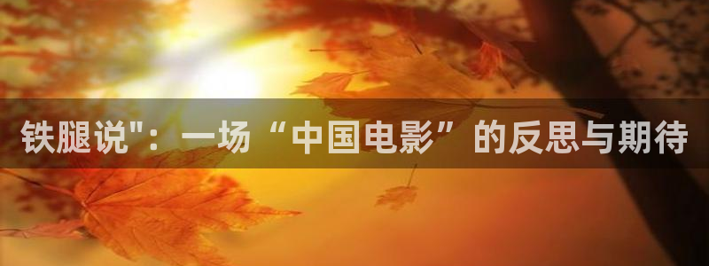 窝窝午夜大电影：铁腿说\