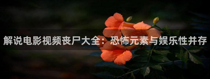 午夜电影影片：解说电影视频丧尸大全：恐怖元素与娱乐性并存