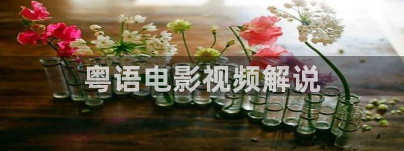 午夜片扬：粤语电影视频解说