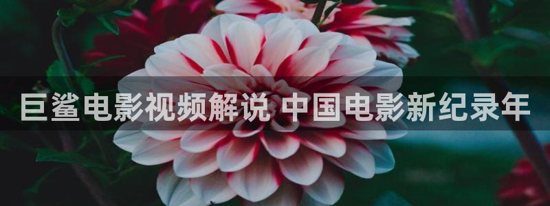 午夜国产精品电影在线观看：巨鲨电影视频解说 中国电影新纪录年