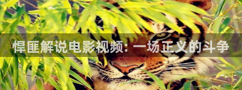 神马午夜飘花影院：悍匪解说电影视频: 一场正义的斗争