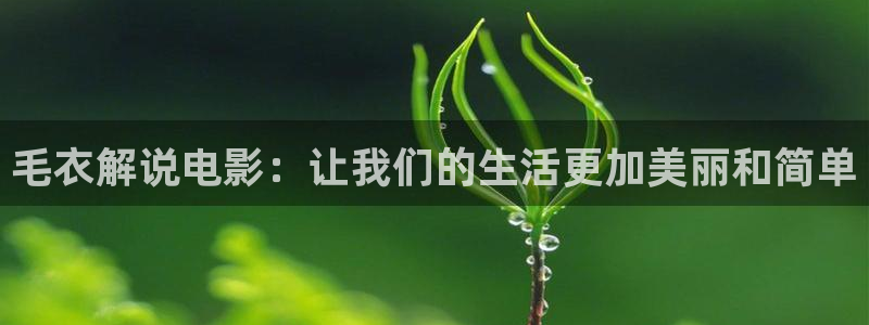 电影午夜免费：毛衣解说电影：让我们的生活更加美丽和简单