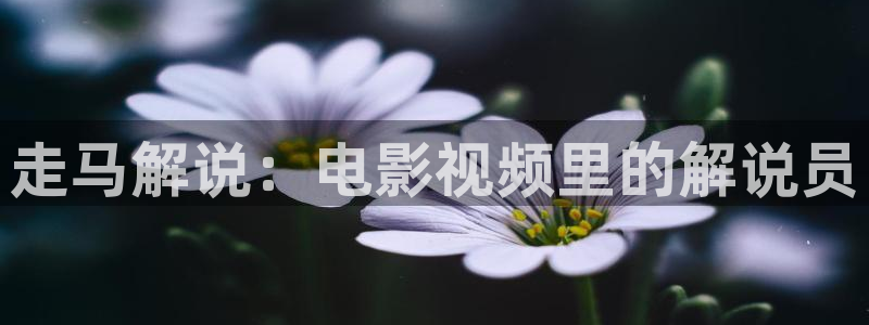 神马午夜在线电影：走马解说：电影视频里的解说员