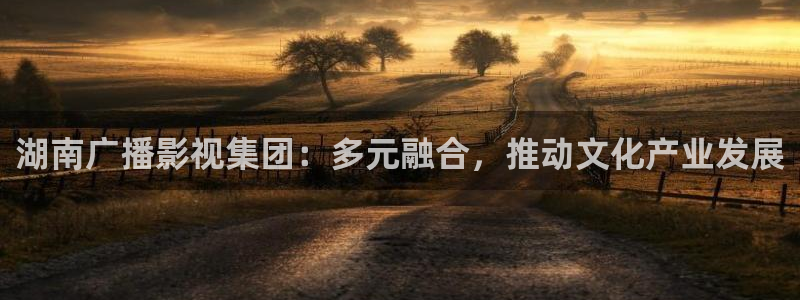 快播午夜电影网：湖南广播影视集团：多元融合，推动文化产业发展