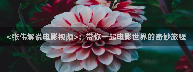 秋霞电影院午夜仑片：<张伟解说电影视频>：带你一起电影世界的奇妙旅程