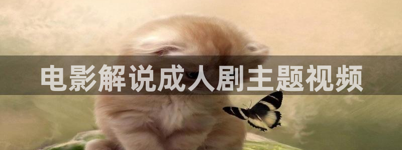 激情午夜在线观看：电影解说成人剧主题视频