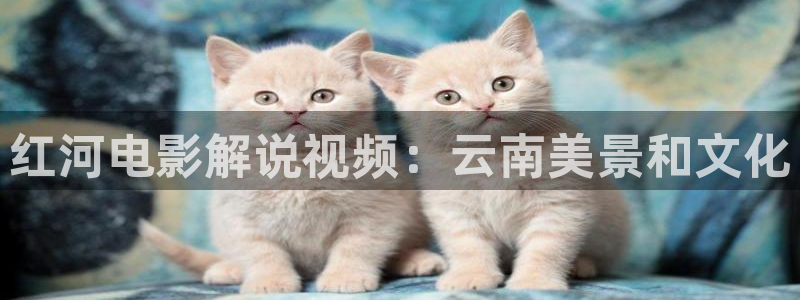 免费看午夜电影app：红河电影解说视频：云南美景和文化