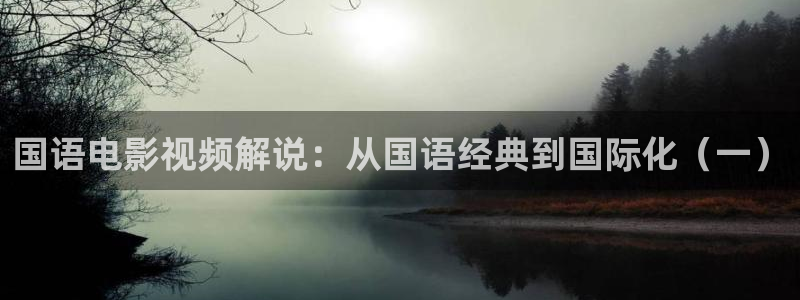午夜高清免费观看视频：国语电影视频解说：从国语经典到国际化（一）