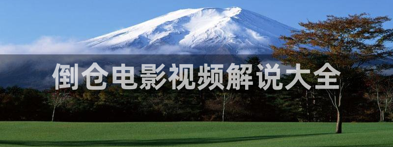 日韩午夜手机在线：倒仓电影视频解说大全