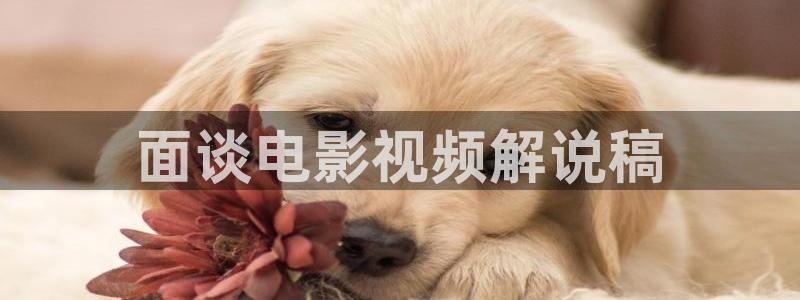 午夜电影88：面谈电影视频解说稿