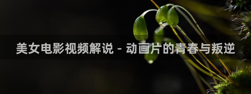 国产午夜理仑片：美女电影视频解说 - 动画片的青春与叛逆