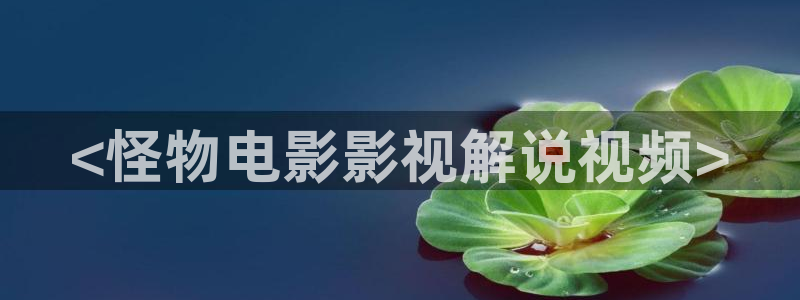 午夜被窝影视：<怪物电影影视解说视频>