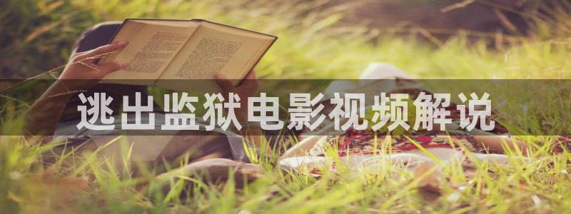 欧美午夜理论片在线观看：逃出监狱电影视频解说
