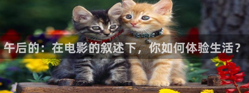 av激情午夜：午后的：在电影的叙述下，你如何体验生活？